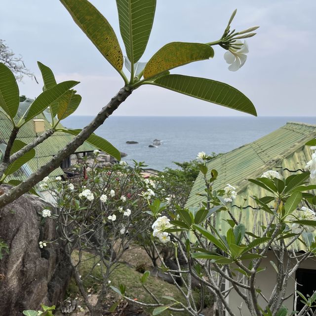 Amazing koh Tao 