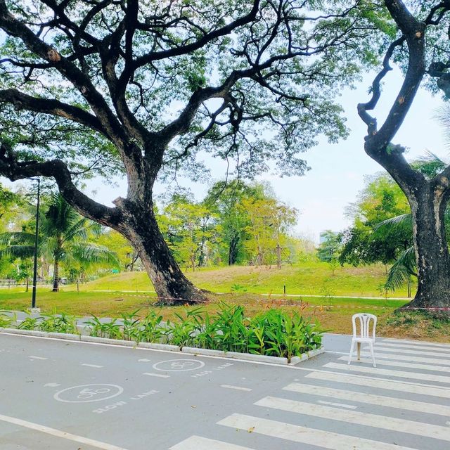 ขับรถไปสวนเบญจกิติ