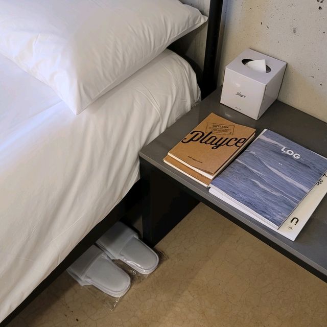 성산일출봉 근처 혼자 묵기좋은 플레이스 캠프 제주🏕