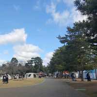 一月一回的京都岡崎公園手作市集