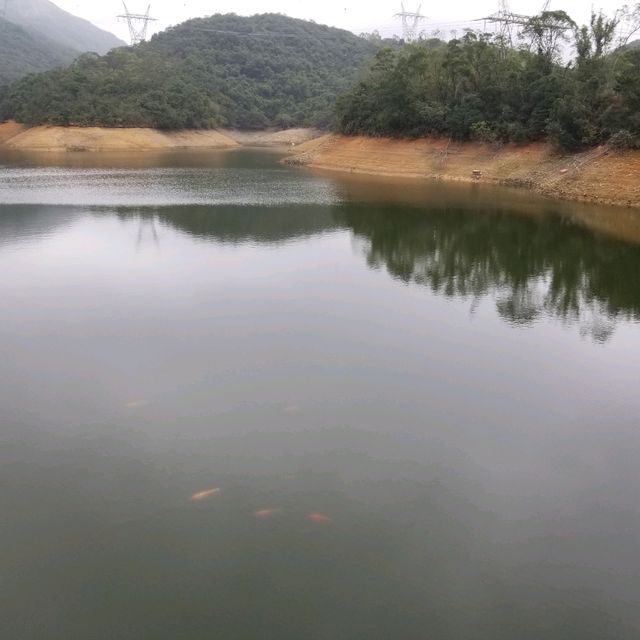 由香港仔郊野公園慢步行止姻緣石
