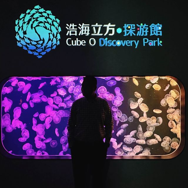 隱藏在水族館裏的西餐廳 🐠 