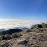 Majestic Mt Pulag 