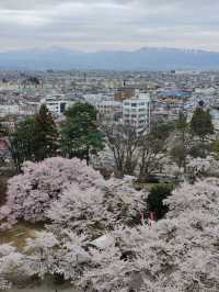 🇯🇵1 day tripที่นีงาตะ ญี่ปุ่น