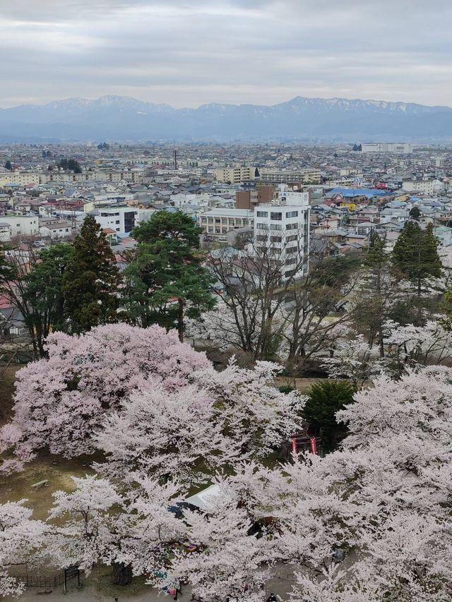 🇯🇵1 day tripที่นีงาตะ ญี่ปุ่น