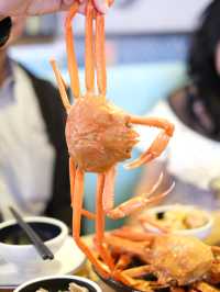 韓國🇰🇷深海千米束草紅蟹 🦀+ 無限♾️️任食5選2 煲料