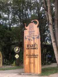 พิพิธภัณฑ์ไดโนเสาร์ @ภูเวียง ขอนแก่น🦕