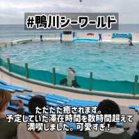 房総半島観光おすすめ6選(鴨川・館山編)