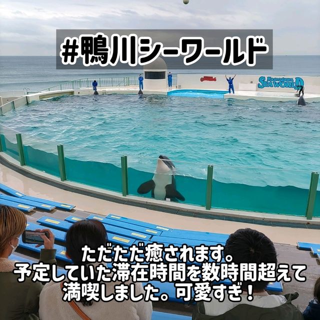 房総半島観光おすすめ6選(鴨川・館山編)