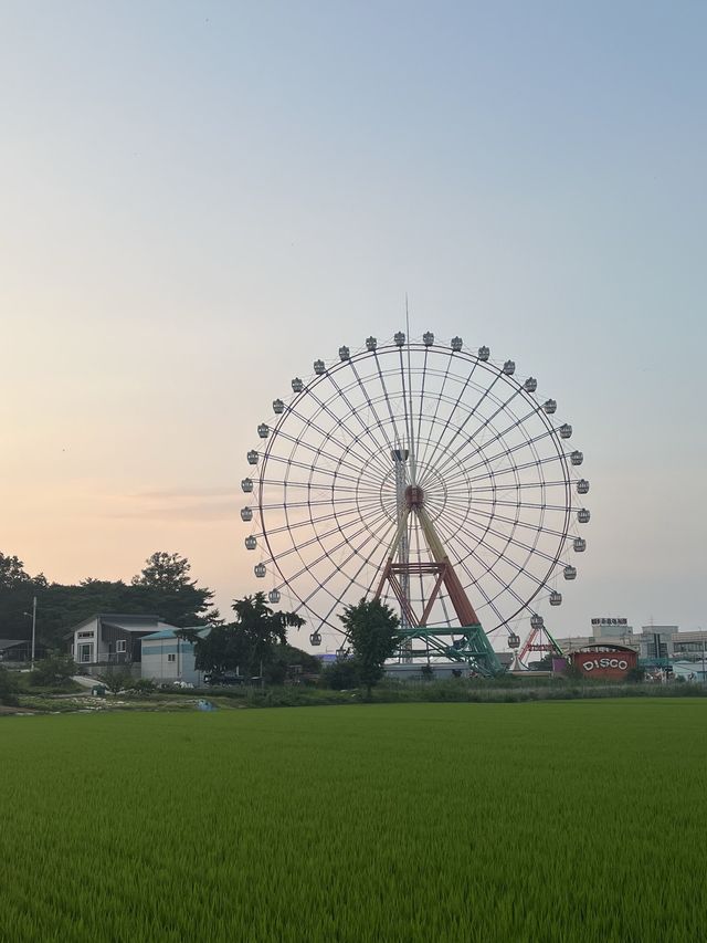 서울근교 이국적인 사진명소 삽교호 놀이동산 대관람차 포토존
