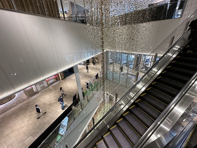 愛知・名古屋。JR名古屋駅前の『大名古屋ビルヂング』の『スカイガーデン』は夜景も楽しめる人の少ない穴場です。