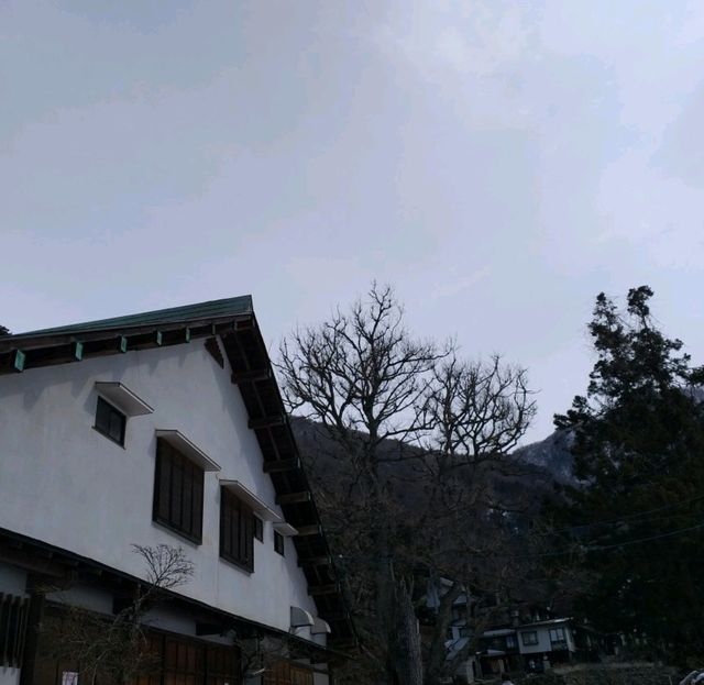 Snow Monkey Encounter at Jigokudani Yaen Koen