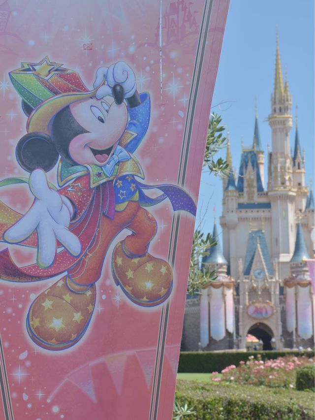 7月夏のディズニーランドのポイント