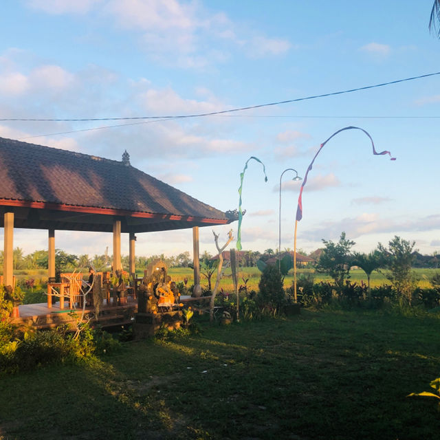坐擁烏布稻田美景的溫馨平價家庭廚房：Warung lumbung padi