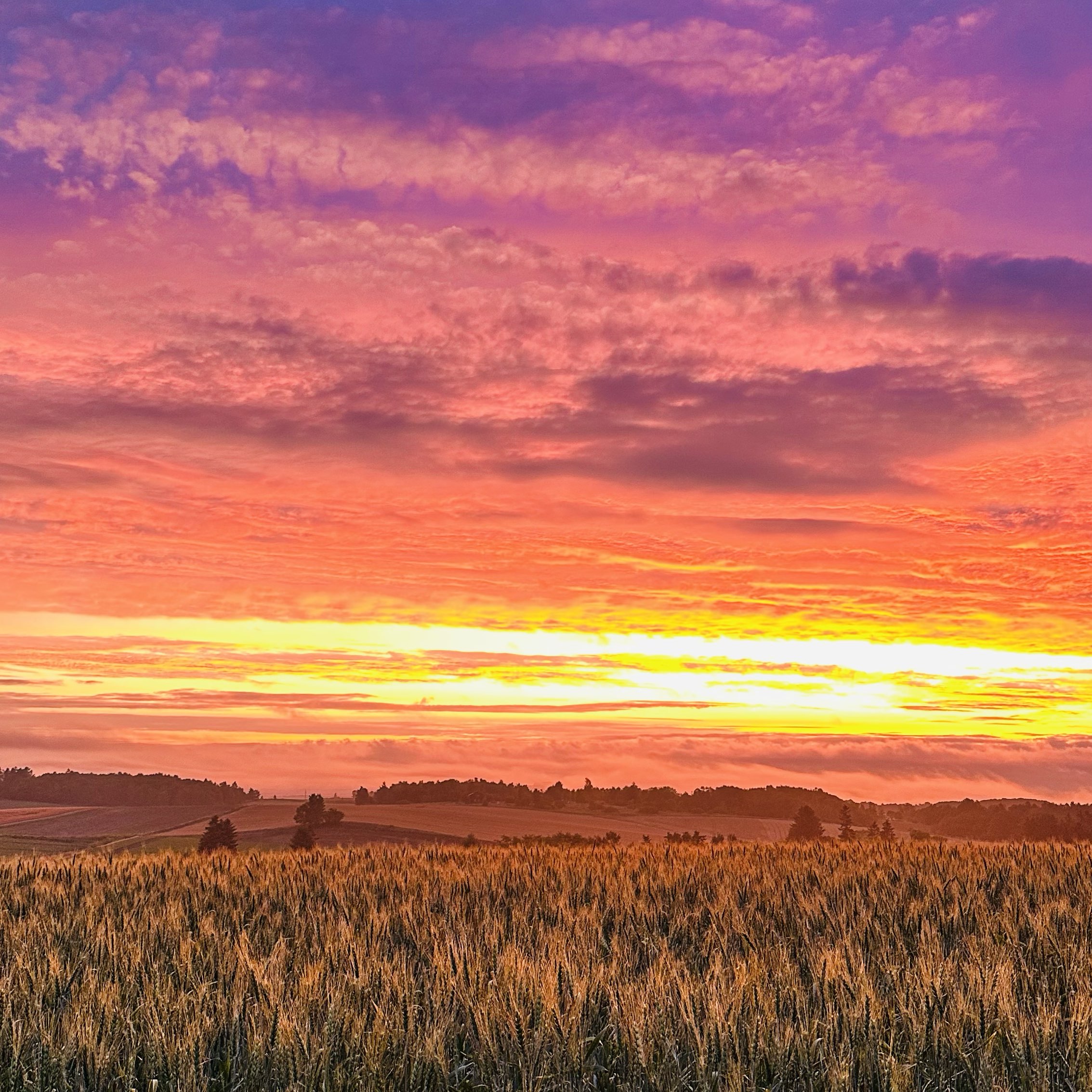 1mi6l2215fsvpsmk07365.jpg?proc