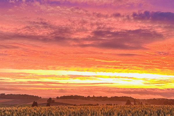 北海道美瑛町の風景 A4写真プリント ガラス入り額装 ～朝焼けの丘～ 北海道美瑛町の風景 A4写真プリント ガラス入り額装 ～朝焼けの