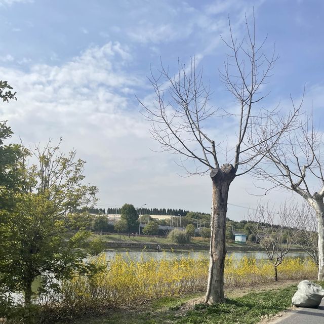 홍치아오 주변 자전거 공원