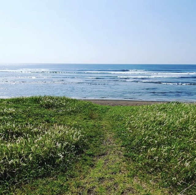 🌊 빛깔이 고운 해변, 광치기 해변에서 힐링을
