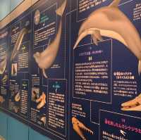 พิพิธภัณฑ์สัตว์น้ำท่าเรือนาโกย่า 名古屋港水族館