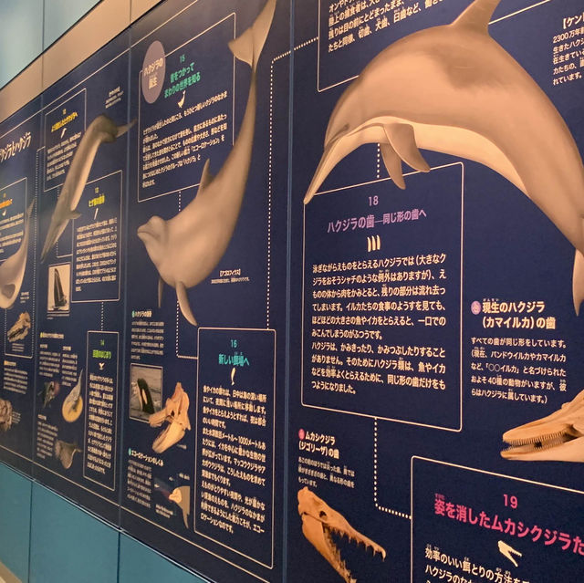 พิพิธภัณฑ์สัตว์น้ำท่าเรือนาโกย่า 名古屋港水族館