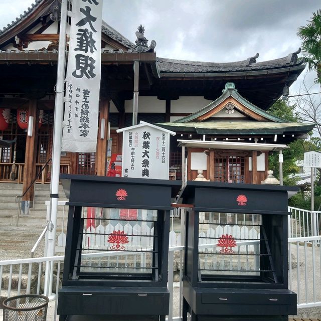 愛知旅行！名古屋「秋葉山円通寺」