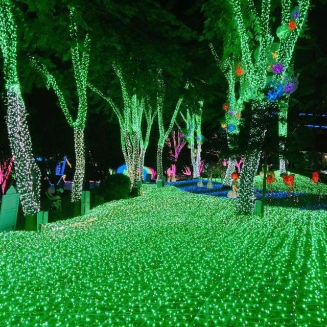 韓國冬天最有名 看夜燈🌟 安山星光村
