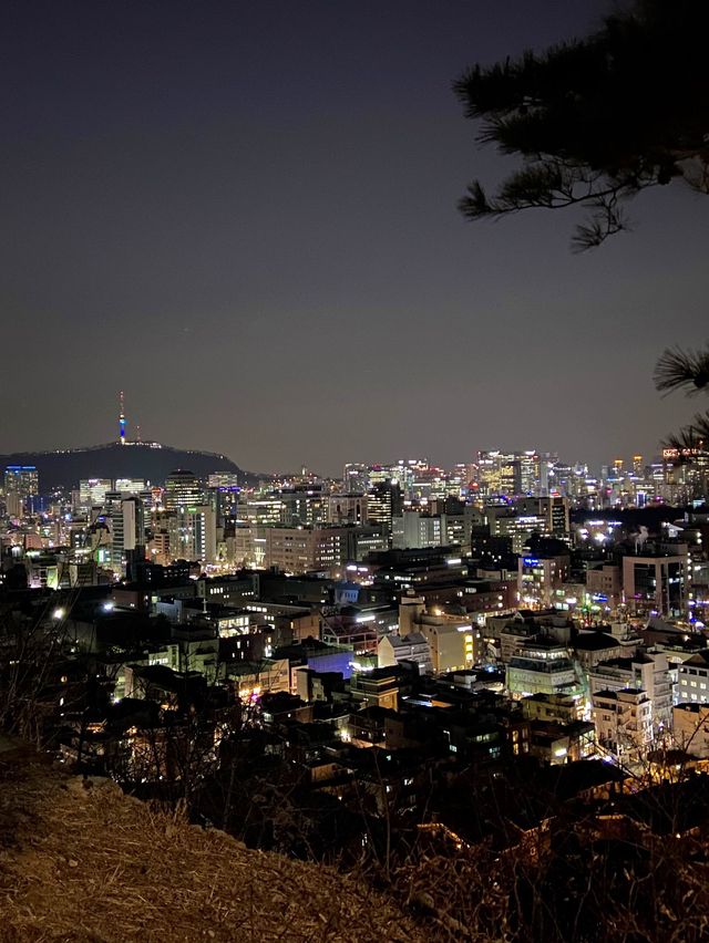 데이트하기 좋은 야경맛집 낙산공원🌃👩🏻‍❤️‍👨🏻