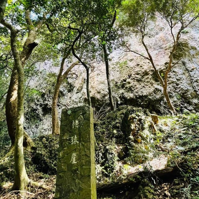 享受森林浴-墾丁國家森林遊樂區