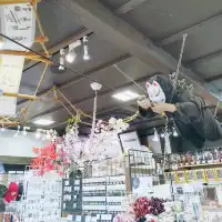 京都のハロウィンはお狐様！英語・中国語・韓国語パンフレットや看板も完備