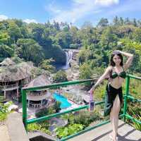  [Bali] Waterfall & Nest Pictures!