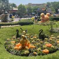 🎃迪士尼樂園南瓜處處迎接萬聖節🎃