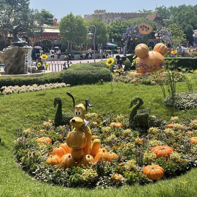 🎃迪士尼樂園南瓜處處迎接萬聖節🎃