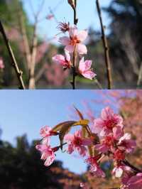 ย้อนเวลาไปขุนช่างเคี่ยน 🌸