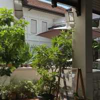 Gallery Drip Coffee Chiang Mai