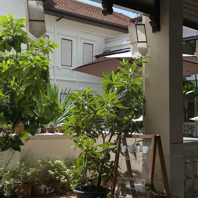 Gallery Drip Coffee Chiang Mai
