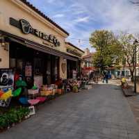 The Beauty of Damyang Meta Provence 