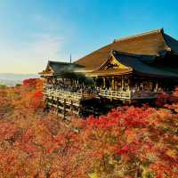 Red maples at Kiyomizu-dera Temple 