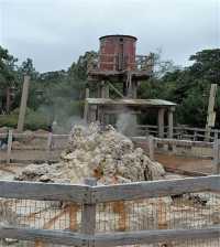 Hong Kong Disneyland