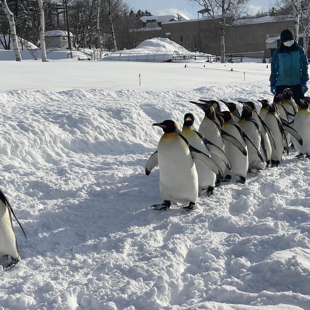 Must visit in Hokkaido! 