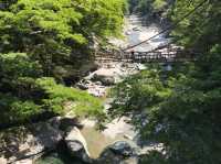 四國景點！日本三大秘景之一，大步危，大步踏過祖谷藤蔓橋🌉