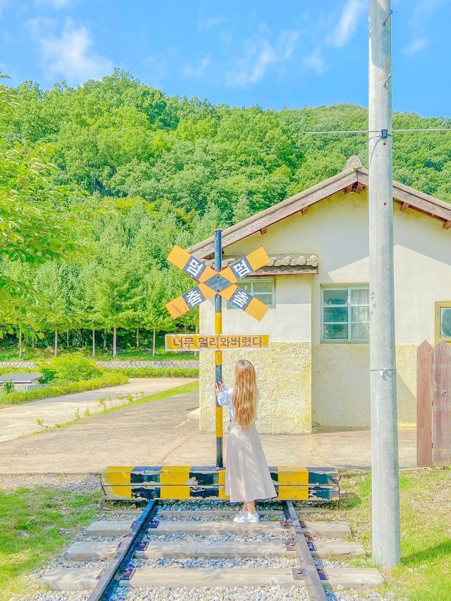 아이들과 함께 가기 좋은 에코랄라🌏