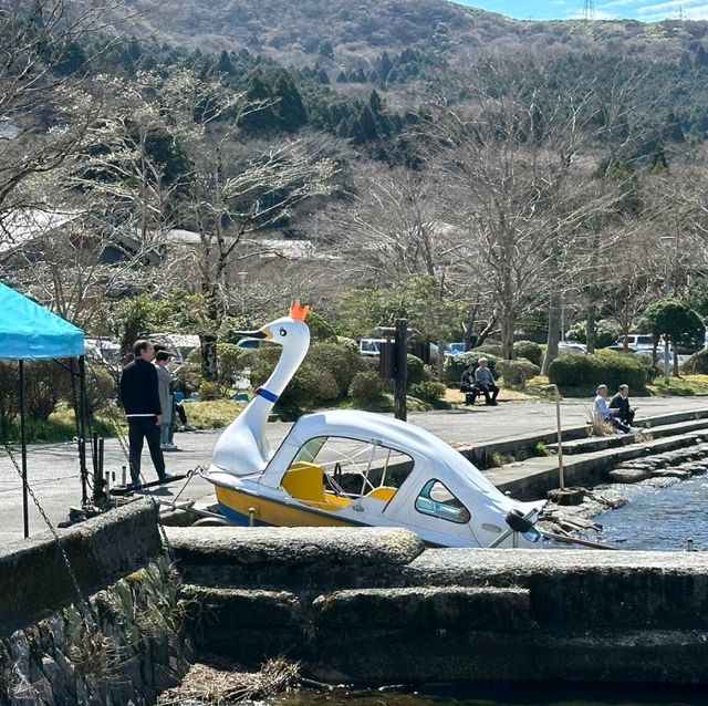 LAKE ASHI (JAPAN) IS BACK!