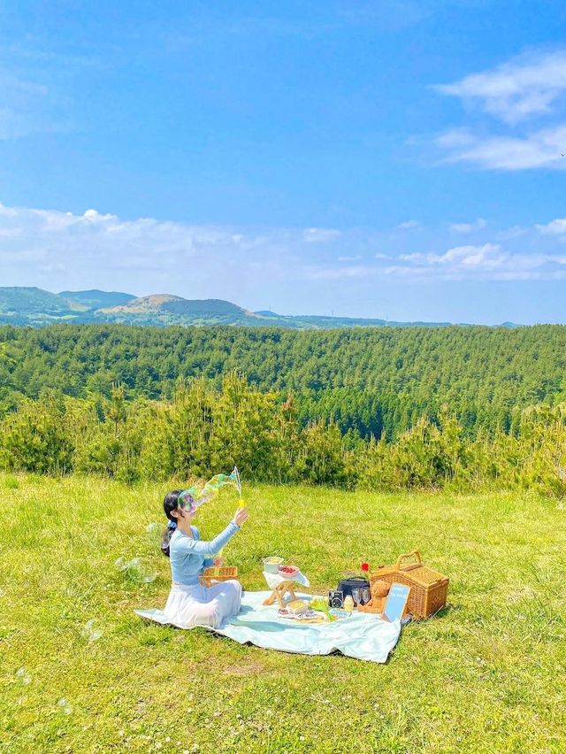 제주 동화 속 그 잡채 피크닉스팟🧺🌿