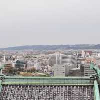 和歌山城 🏰 