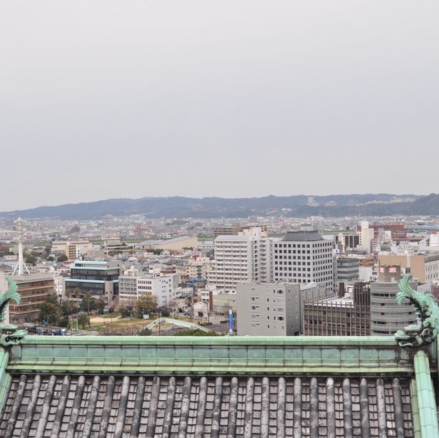 和歌山城 🏰 