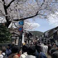 京都清水寺：賞櫻參拜🌸逛逛拍照地分享
