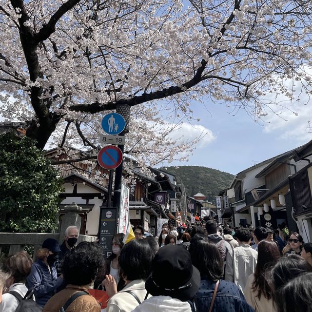 京都清水寺：賞櫻參拜🌸逛逛拍照地分享