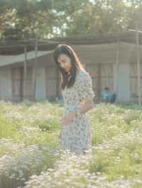 เดินเล่นฟีลเจ้าหญิงในสวนดอกไม้ I love flower farm