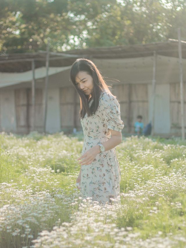 เดินเล่นฟีลเจ้าหญิงในสวนดอกไม้ I love flower farm