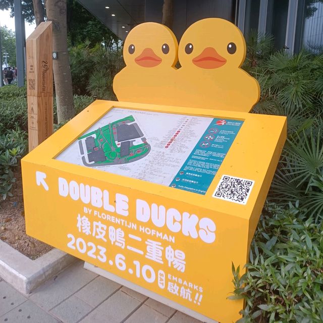 必睇必影 黃色鴨